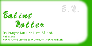 balint moller business card
